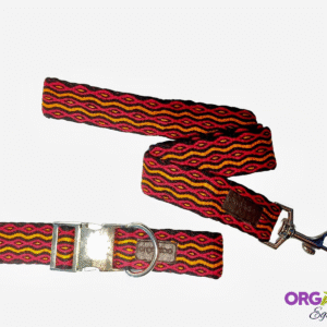 Combo mejor amigo (Collar Expandible + Correa)